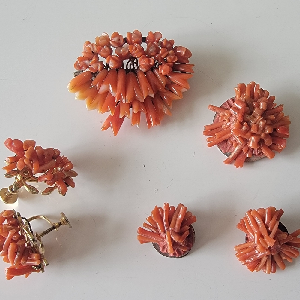 Vintage coral pin and earing set